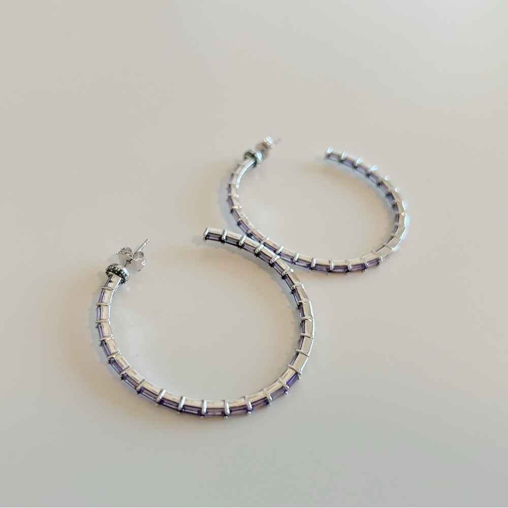 Elegant Purple Hoop Earrings